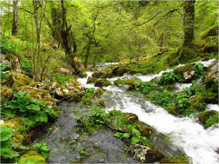 Hotel Camangu Каманго Экстерьер фото